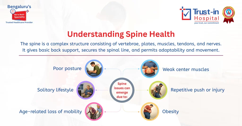 Understanding Spine Health: Protect Your Back, Improve Your Life | Trust-in Hospital