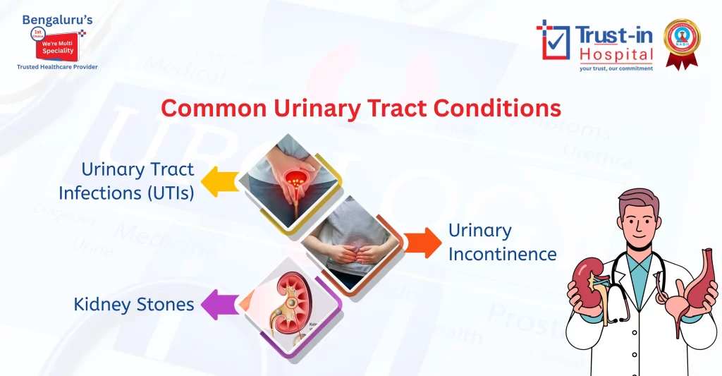 Expert Urology Care in Bangalore – UTI, Kidney Stones & Urinary Incontinence | Trust-in Hospital