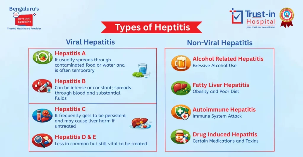 Types of Hepatitis Explained | Viral & Non-Viral | Trust-In Hospital