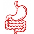 Gastroenterology