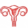 Obstetrics Gynaecology