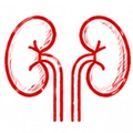 Nephrology