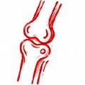 Orthopaedics