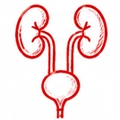 Urology